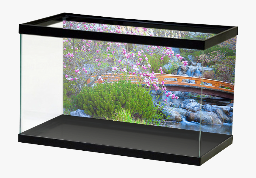 Fresh Japanesegarden, HD Png Download