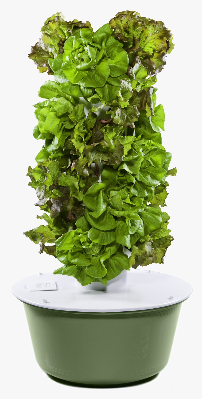 Jliba - Towergarden - Com - Tower Garden Png , Png, Transparent Png