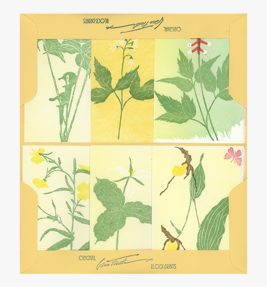 Floral Design, HD Png Download