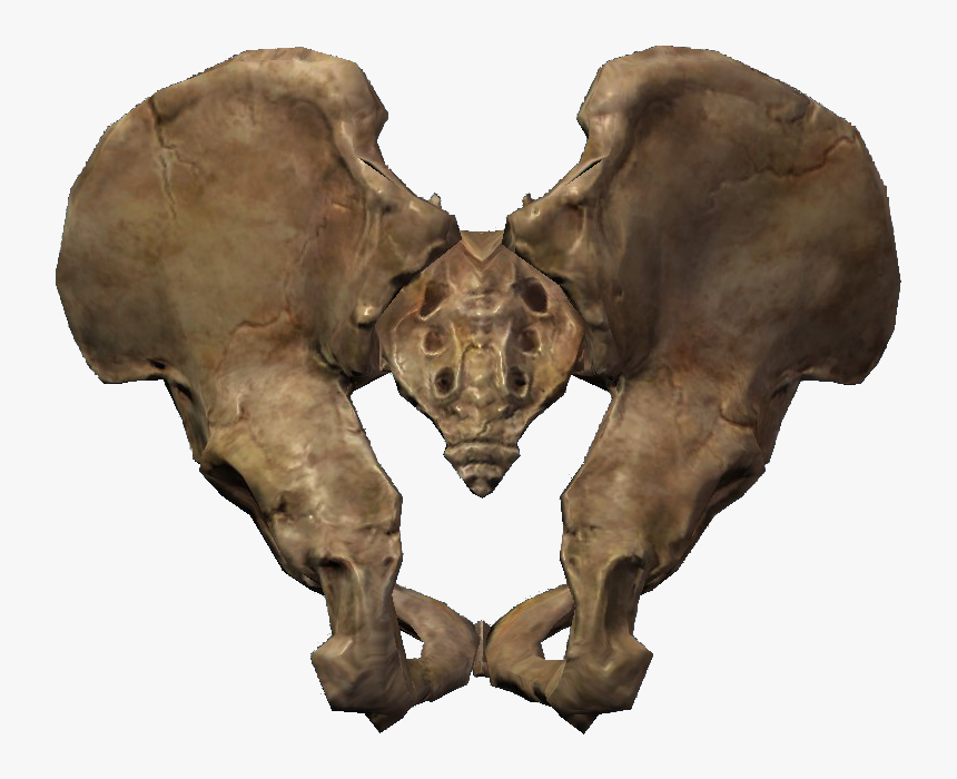 Image Pelagius Hip Bone Elder Scrolls Fandom Powered - Hip Bone Png, Transparent Png