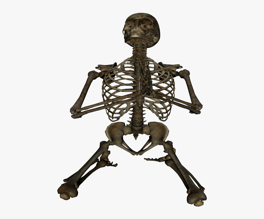 Skeleton Hands Praying Front View, HD Png Download