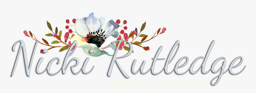 Tulipa Humilis, HD Png Download