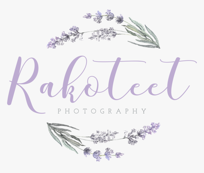 English Lavender, HD Png Download