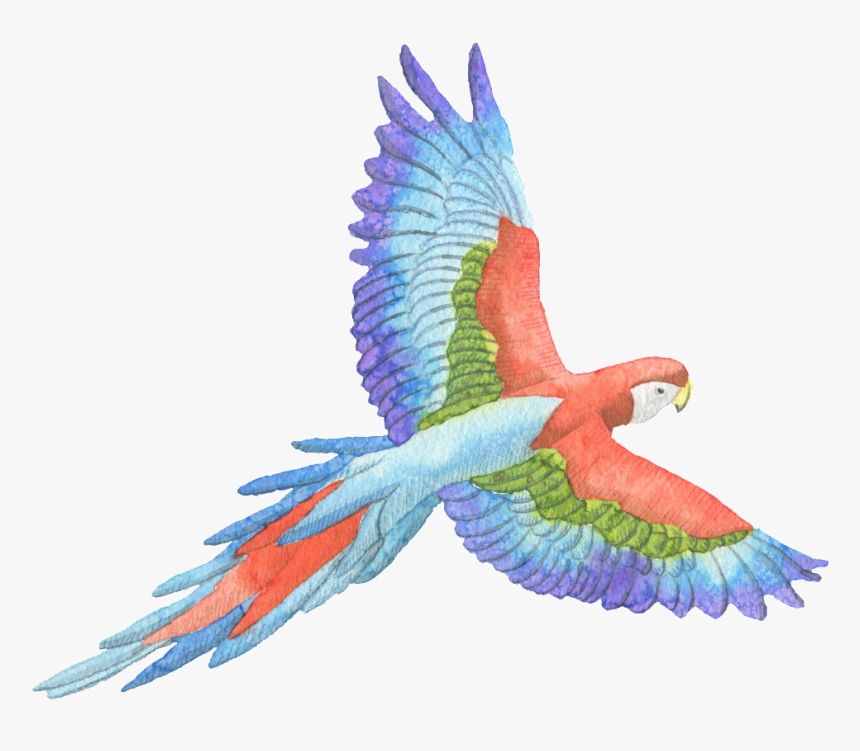 Tricolor Parrot Watercolor Transparent Decorative Pattern - William Blake Zitate, HD Png Download
