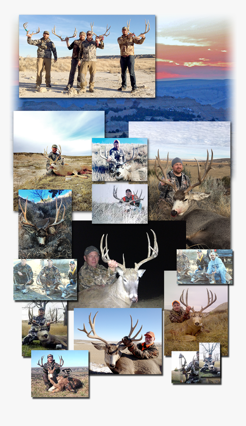Quarter Transparent Caribou - Hunting Collage, HD Png Download