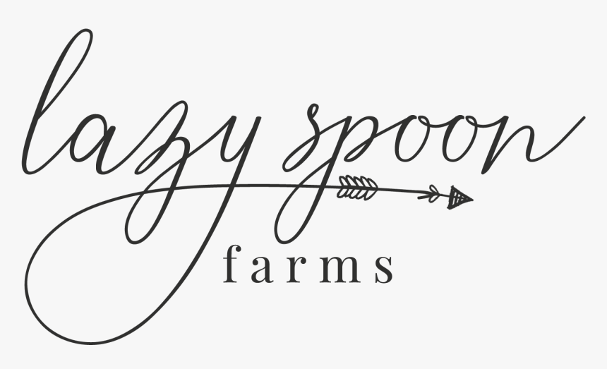 Transparent Universal Studios Hollywood Png - Calligraphy, Png Download