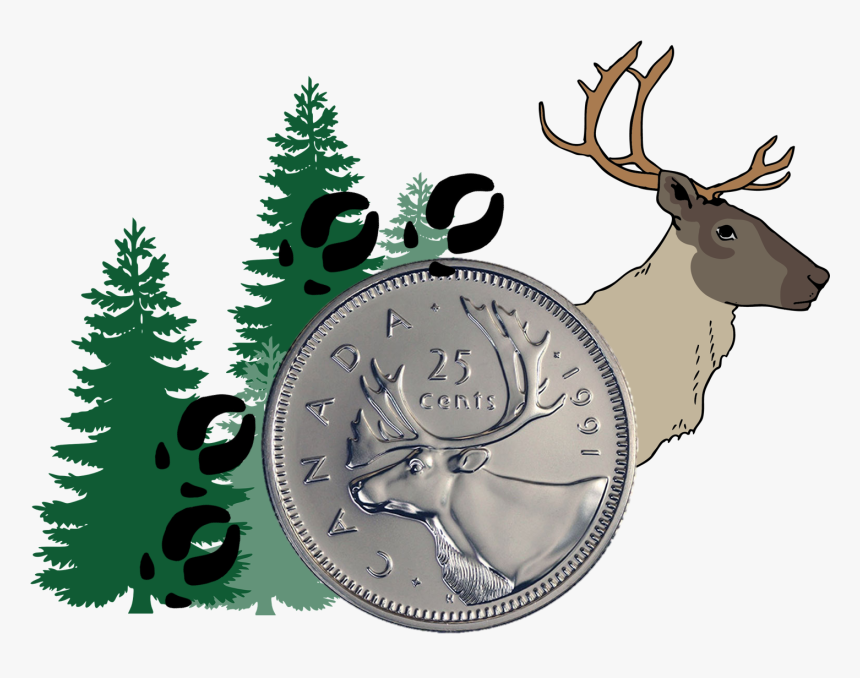 Caribou Banner Blog Aug 28, HD Png Download