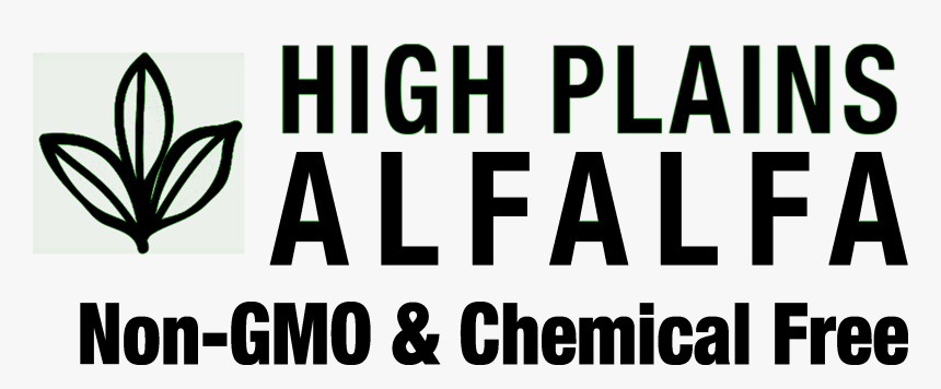 Calligraphy, HD Png Download