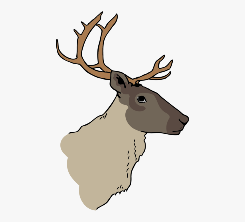 Caribou Figure Cpaws V2 - Elk, HD Png Download