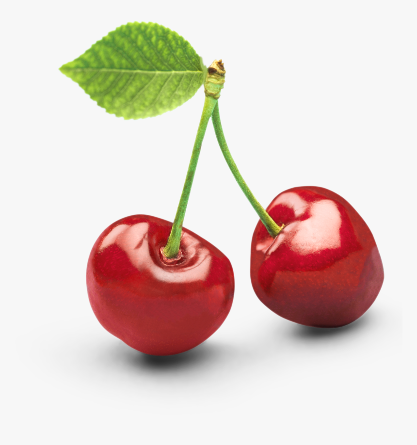 Photos Clipart, HD Png Download