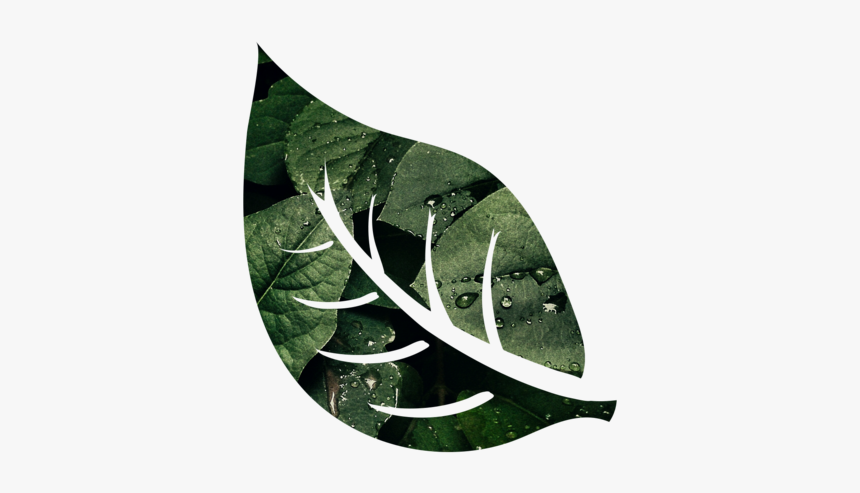 Untitled-2 - Logo Zero Waste Png, Transparent Png