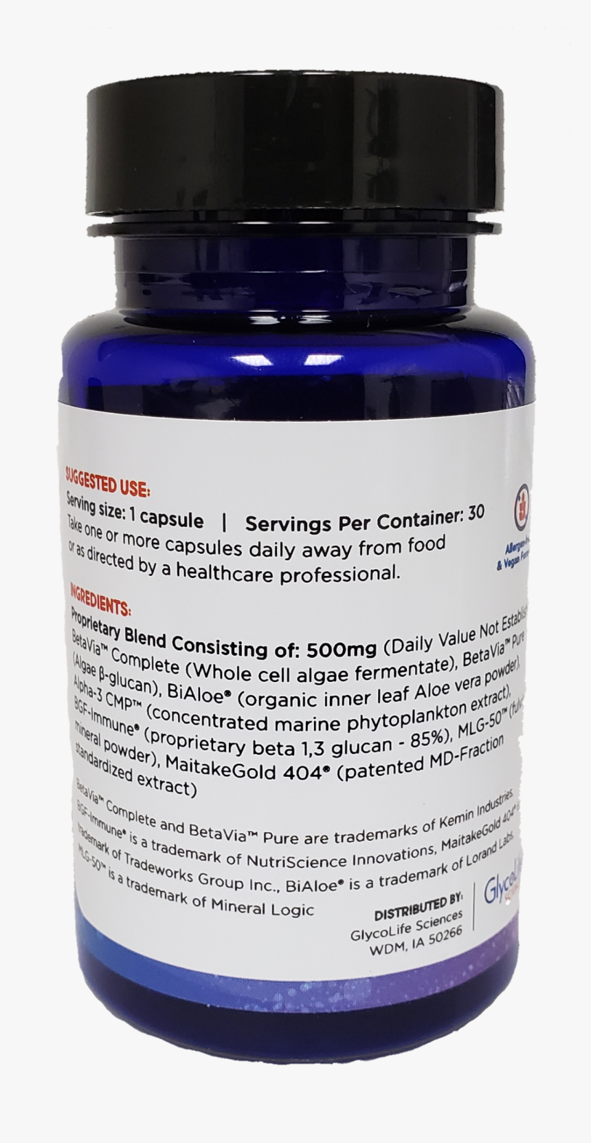 Pomacentridae, HD Png Download