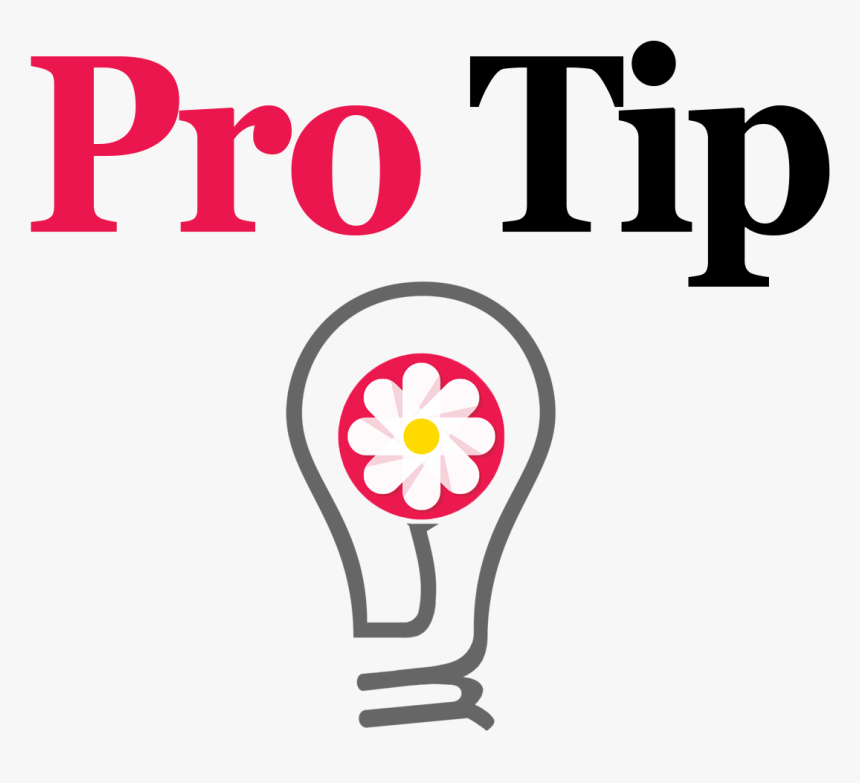 Flower, HD Png Download