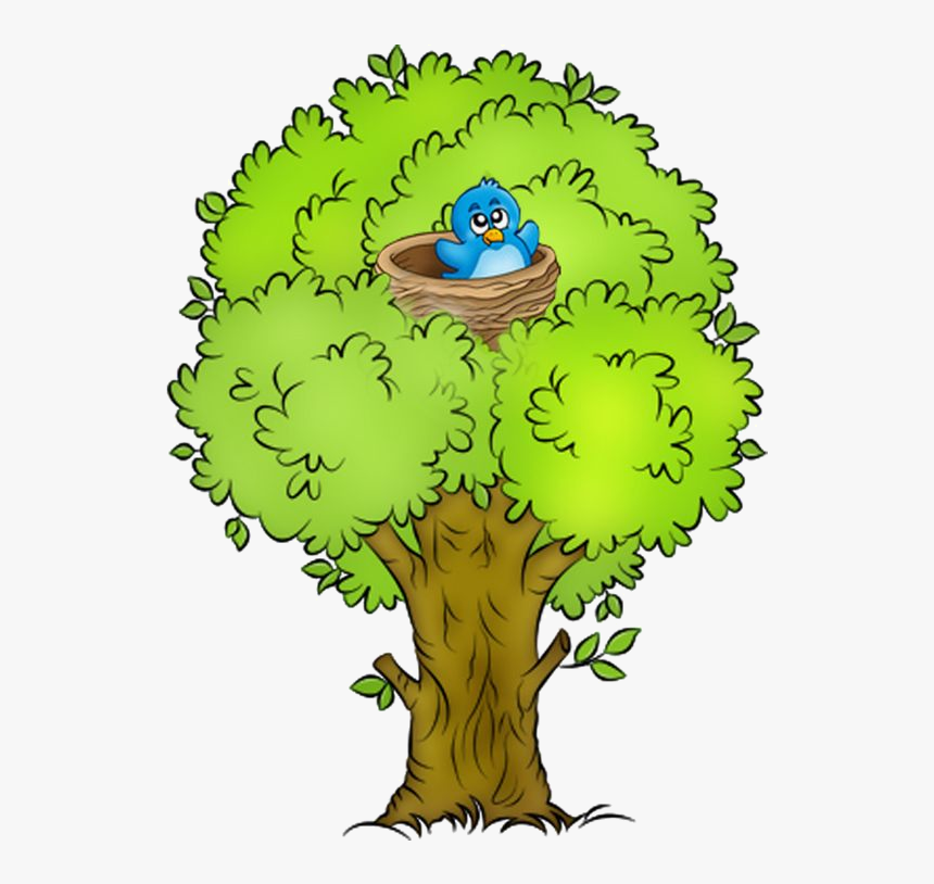 Clipart Arbre Png Transparent Png , Png Download - Arbre Clipart, Png Download