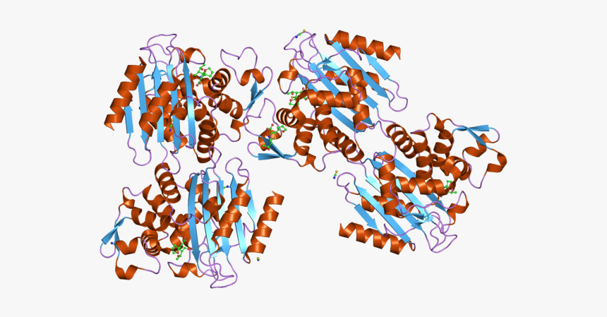 Pdb 3bff Ebi - Graphic Design, HD Png Download