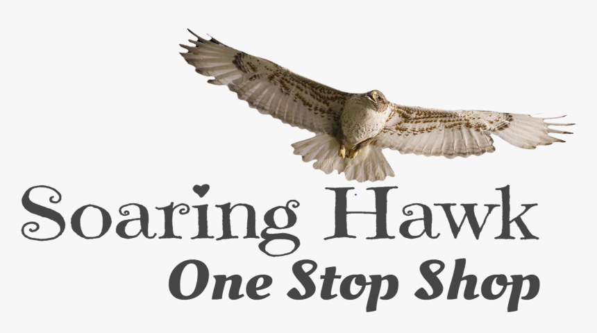 Red-tailed Hawk, HD Png Download