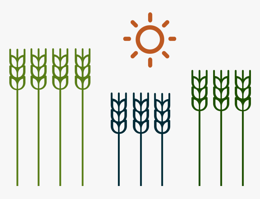 Graphic Design, HD Png Download