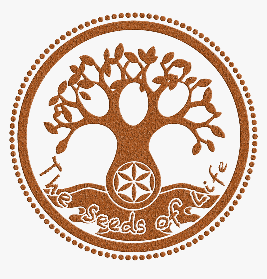 Raw Food, HD Png Download