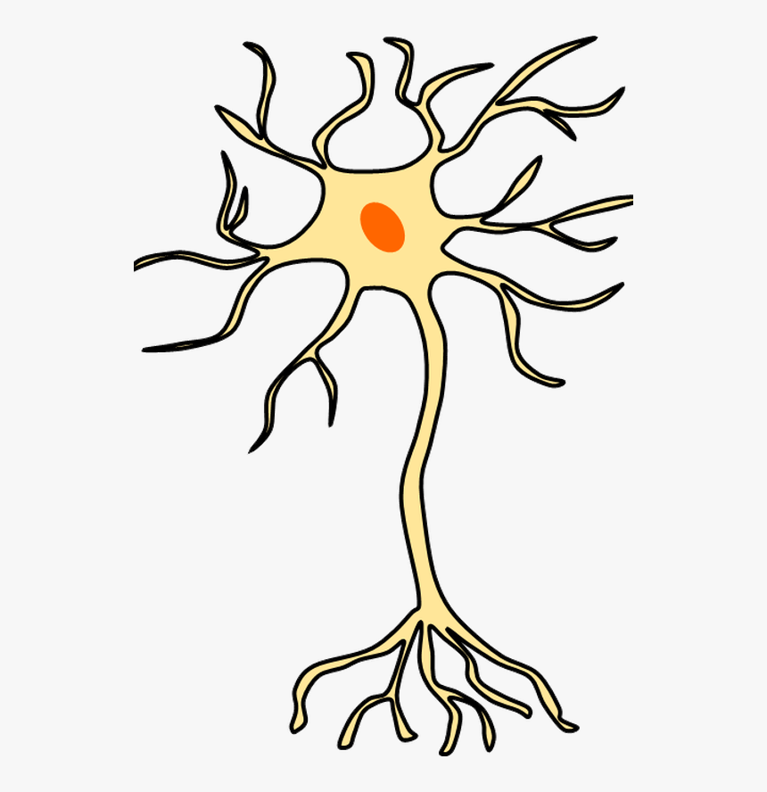 Clip Art, HD Png Download