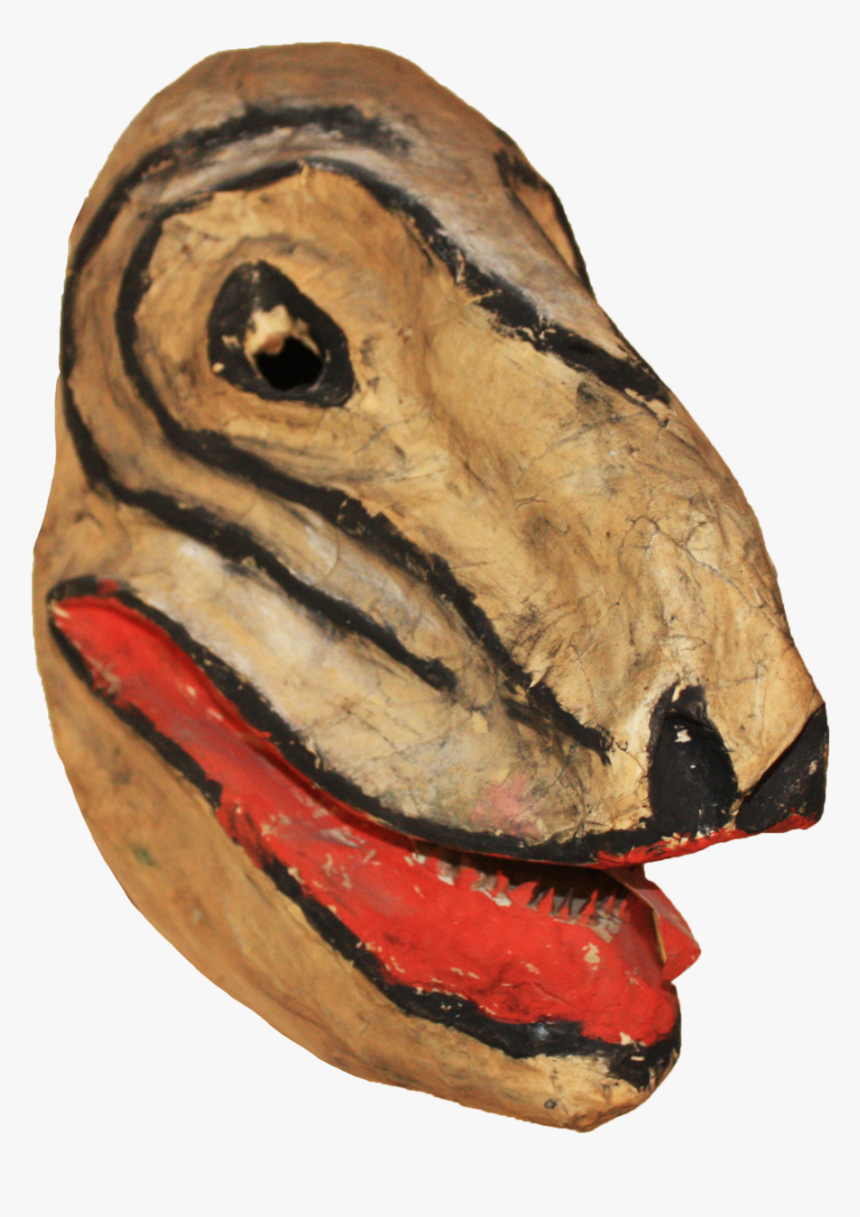 Wood Duck, HD Png Download