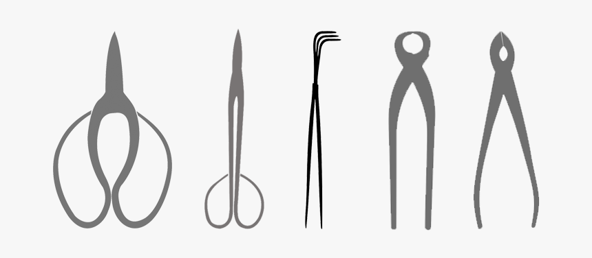 Herramientas De Bonsai Vector, HD Png Download