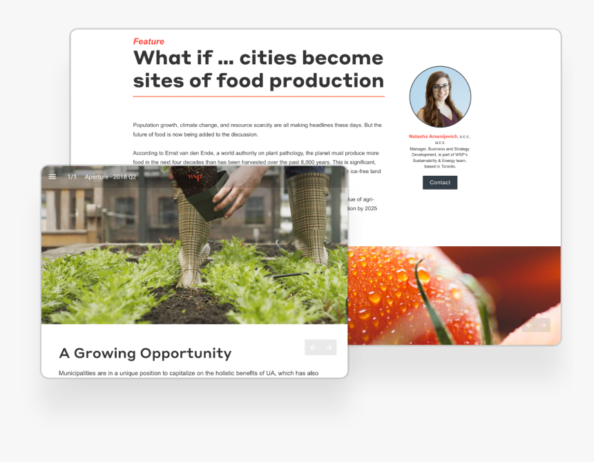 Online Advertising, HD Png Download