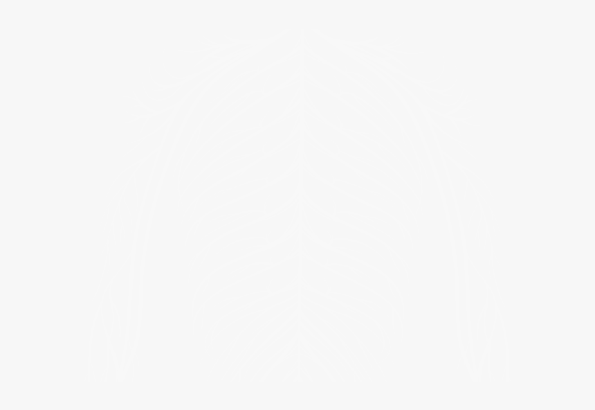 Johns Hopkins Logo White, HD Png Download