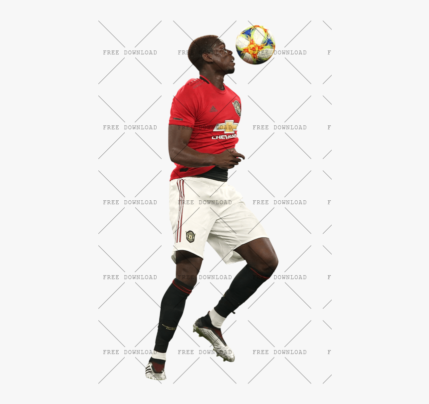Player, HD Png Download