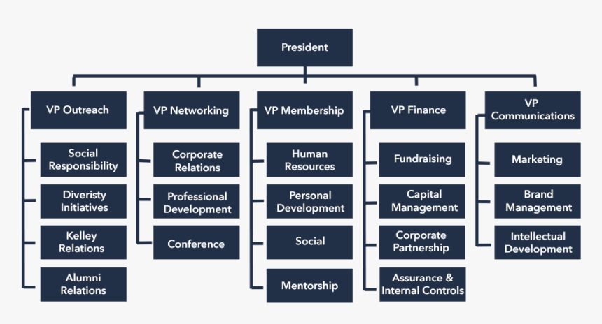 Org-structure - Organization Structure Of Kuwait Airways, HD Png Download