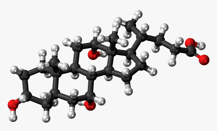 Molecular Structure Png Clipart - Cholic Acid 3d Structure, Transparent Png