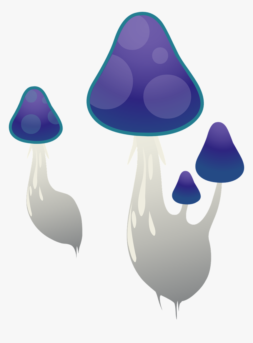 Mushroom, HD Png Download
