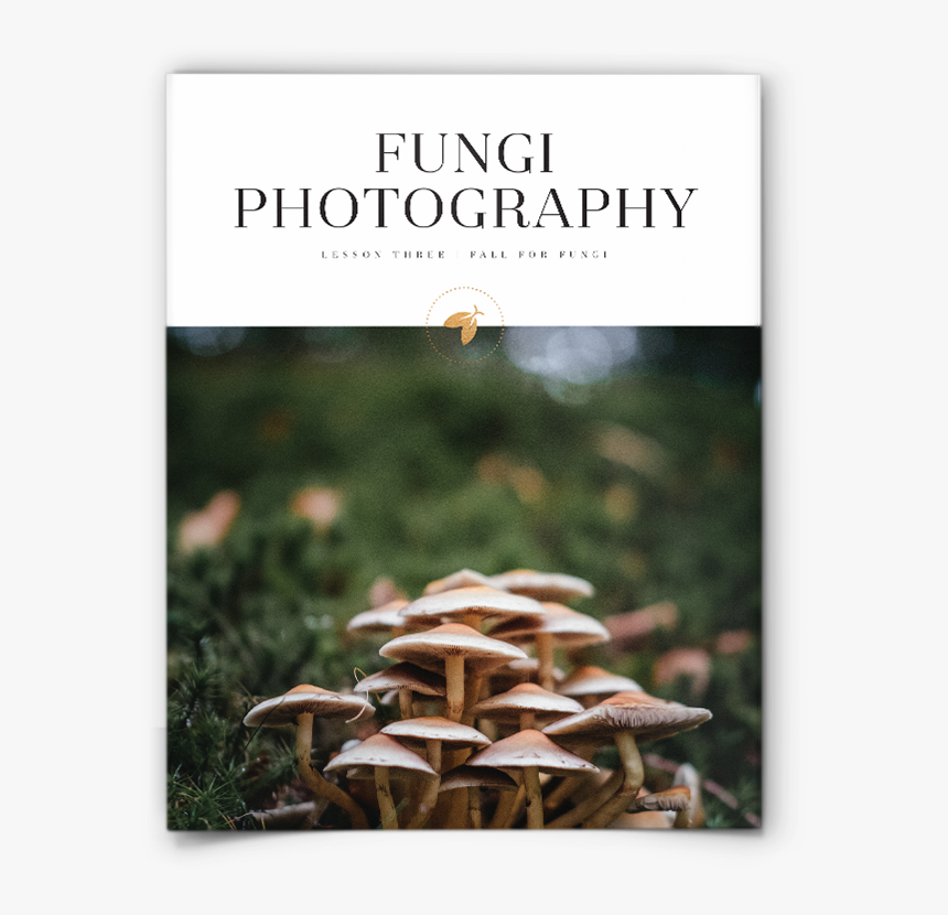 Mushroom Wallpaper Ipad Pro, HD Png Download