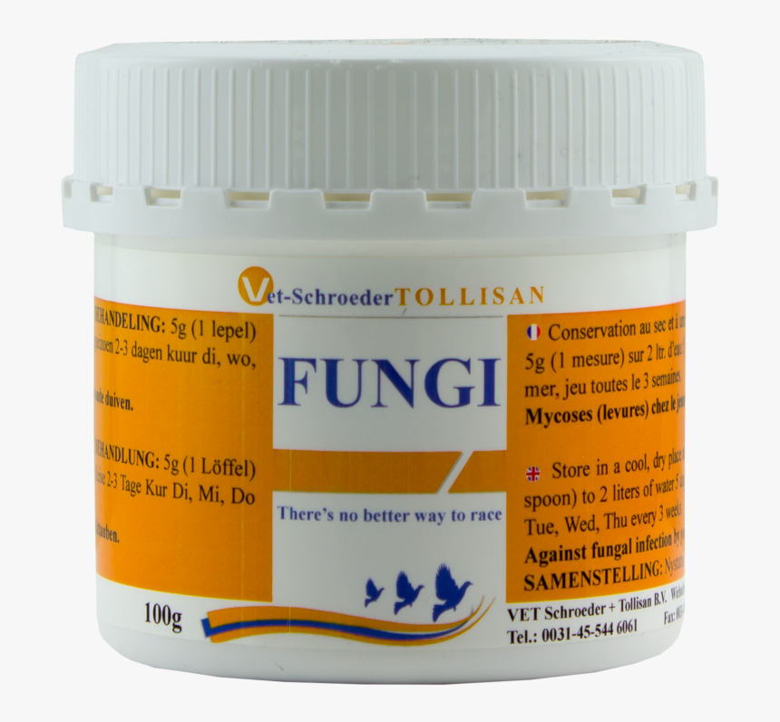 Tollisan Fungi - Animal, HD Png Download