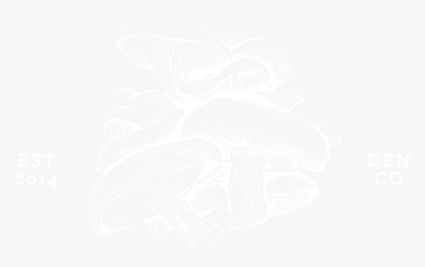 White Shrooms-02 - Johns Hopkins Logo White, HD Png Download
