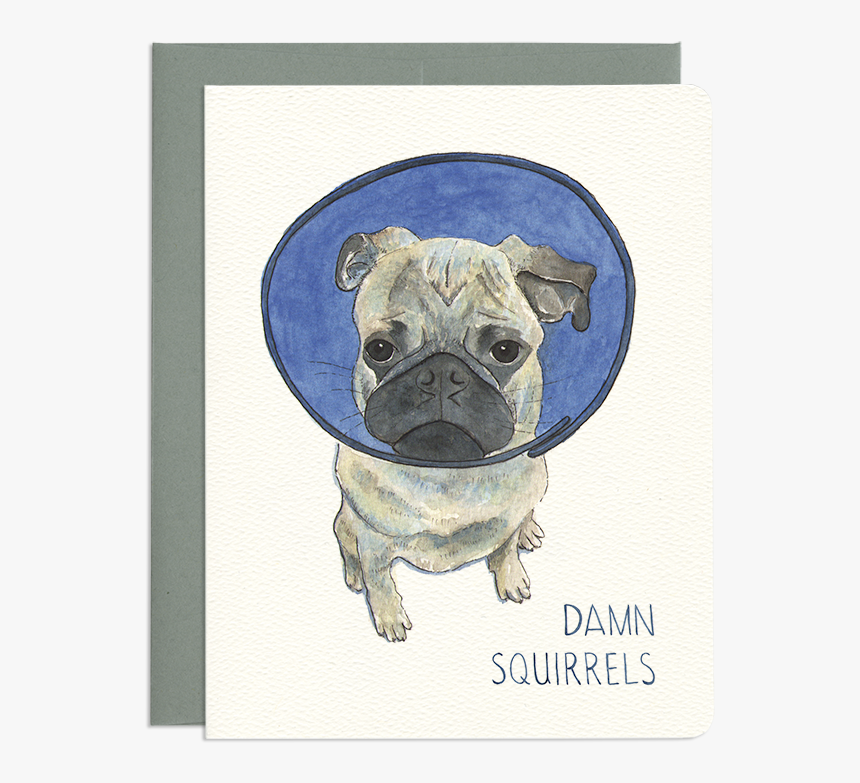 Pug, HD Png Download