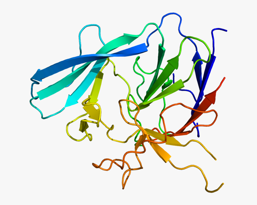 Graphic Design, HD Png Download