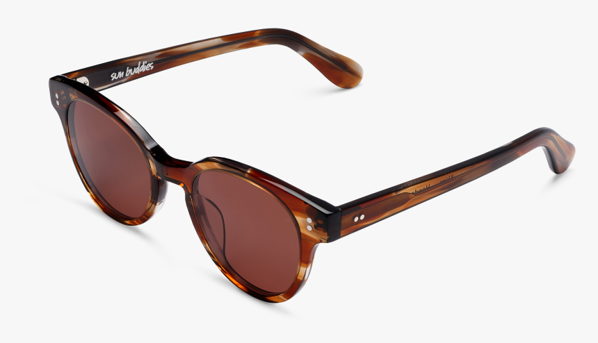 Sun Buddies Zinedine Tortoise, HD Png Download