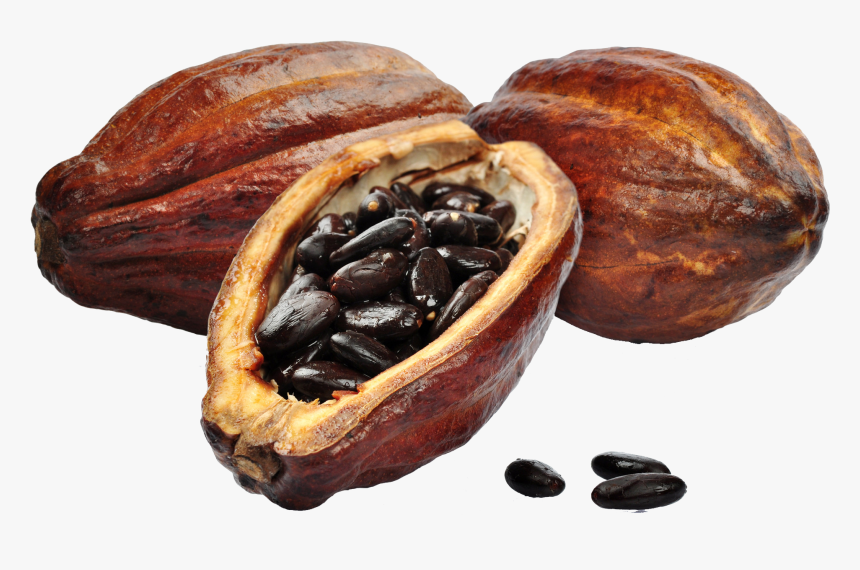 Cacao Png, Transparent Png
