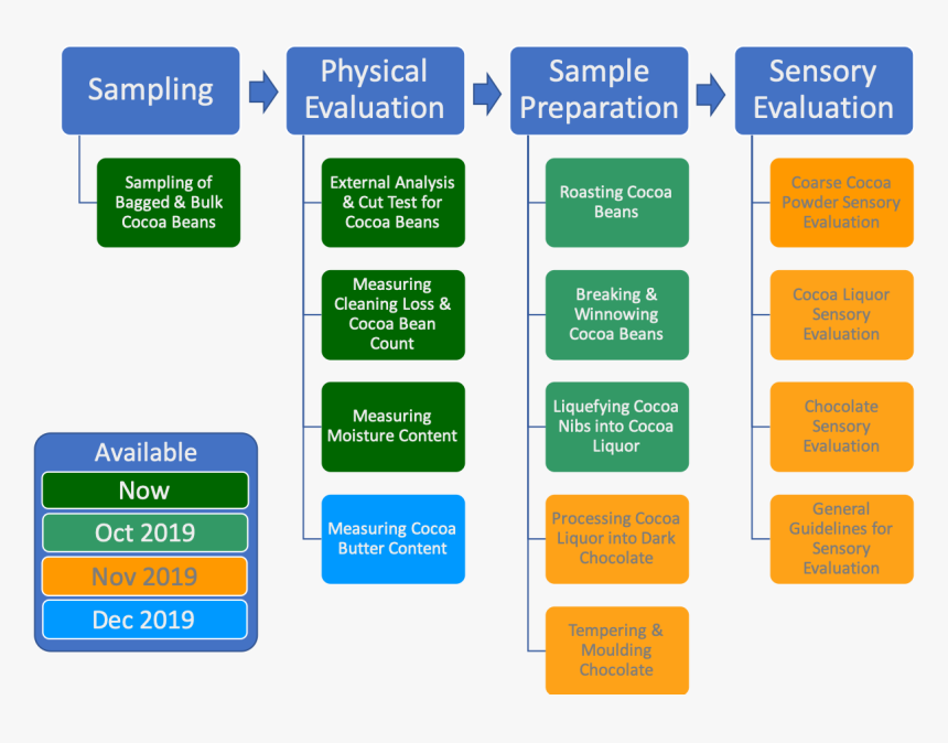 Tan, HD Png Download