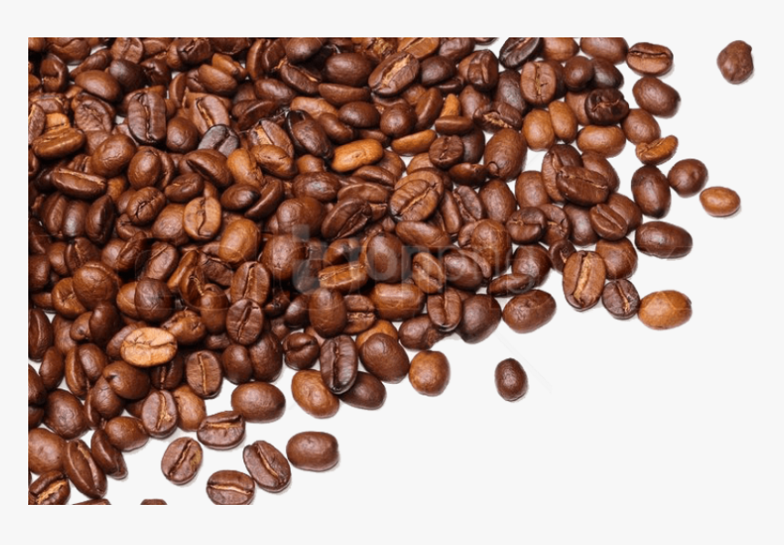 Free Png Download Coffee Beans Png Images Background - Transparent Background Coffee Beans Png, Png Download