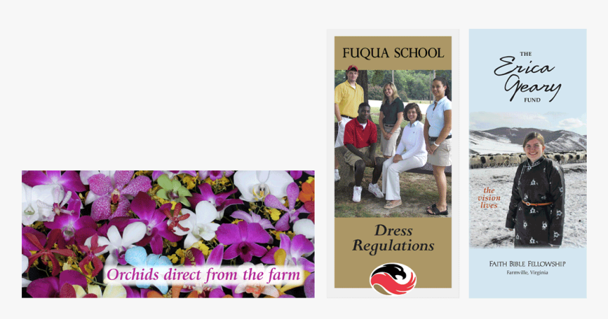 Slider More Brochures3 - Pansy, HD Png Download