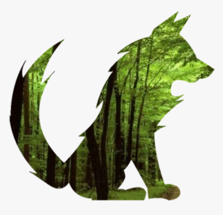 Transparent Forest Clipart Png - Forest, Png Download
