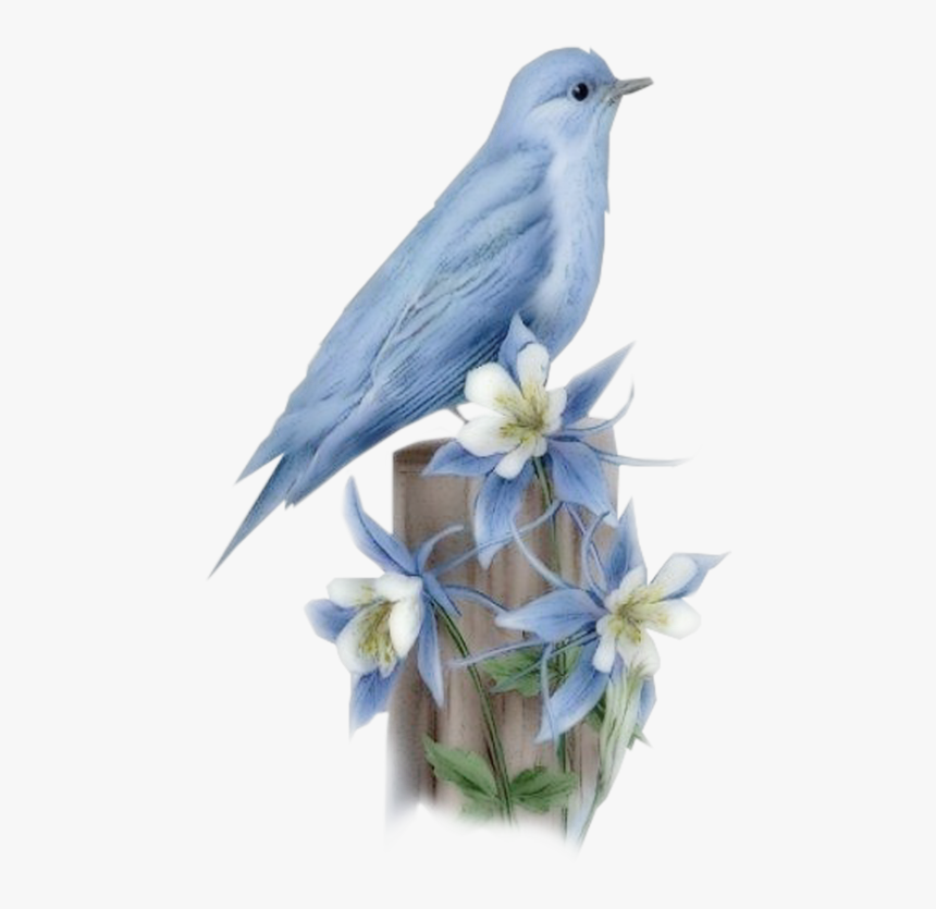 Hummingbird Bluebird Of Happiness - Bird, HD Png Download