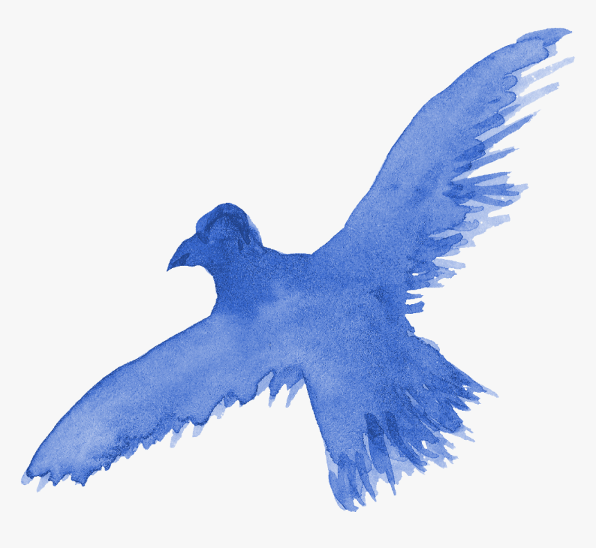 White Watercolor Bird Png, Transparent Png