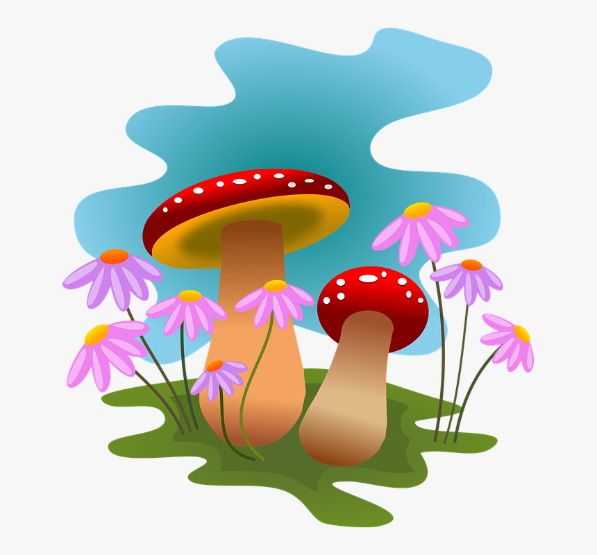 Transparent Forest Clipart Backgrounds - Clipart Mushrooms Png, Png Download