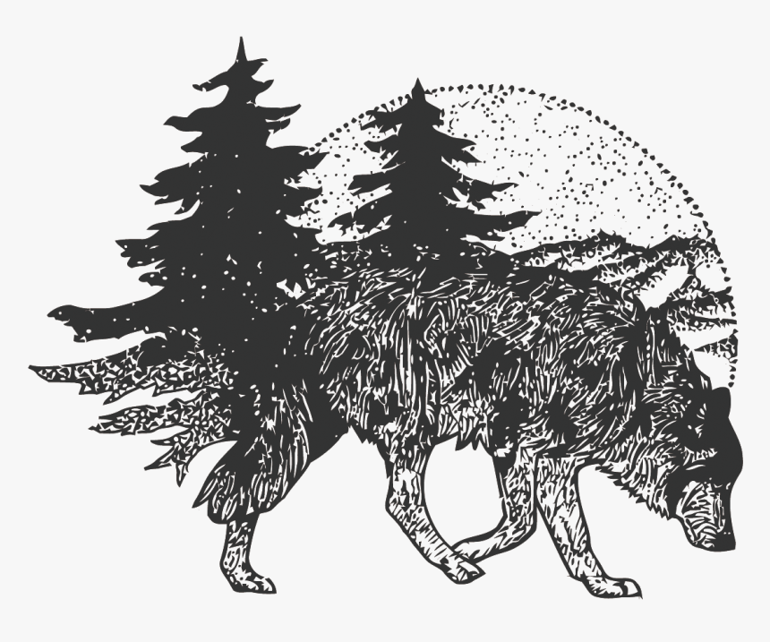 T-shirt Tattoo Vector Wolf Forest Free Frame Clipart - Drawing Wolf And Forest, HD Png Download