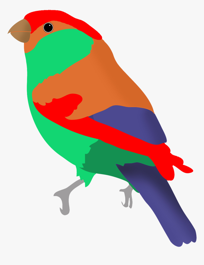 Colorful Bird In Fantasy Colors - Clipart Birds Flying Colorful Bird Transparent, HD Png Download