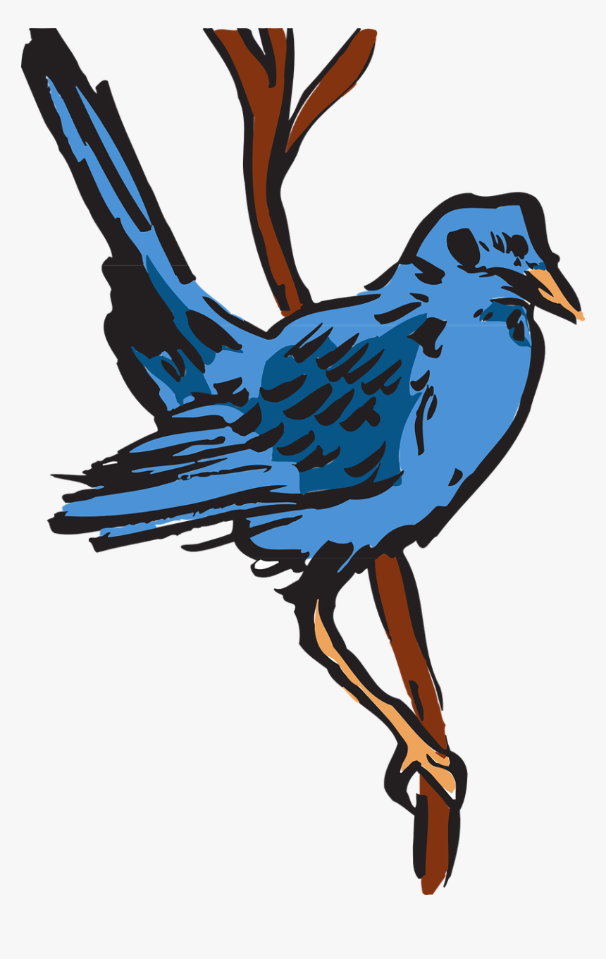 Dessin D Oiseau A Plumes, HD Png Download