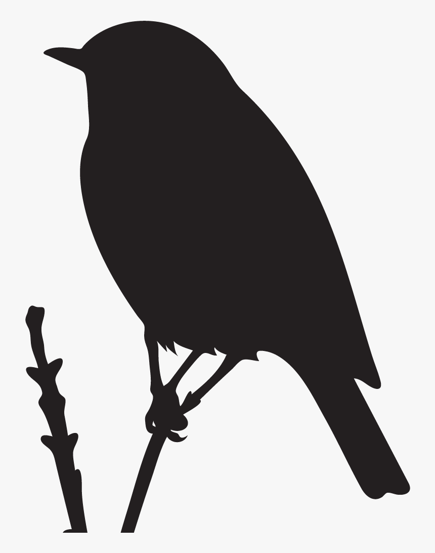 Silhouette Of Blue Bird, HD Png Download