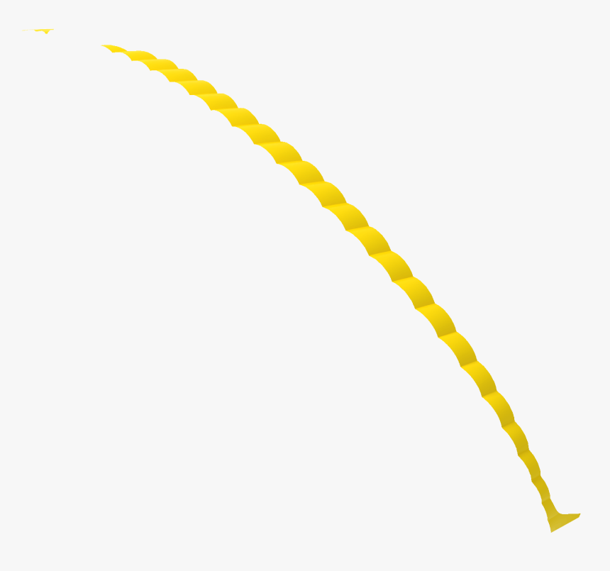 Orange, HD Png Download